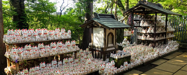 NOMBRES DE GATOS EN JAPONÉS